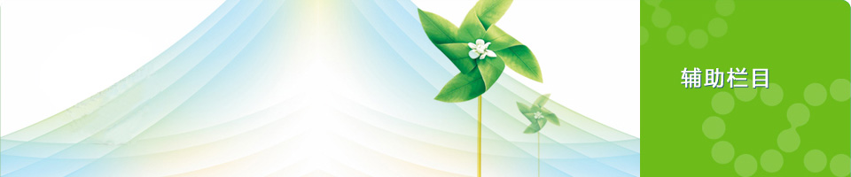 ʮ�������Ϸƽ̨��վ(����)���޹�˾