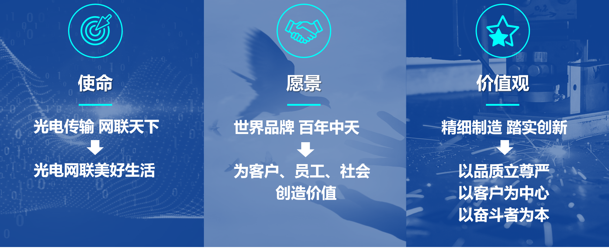 九五至尊VI-老品牌值得信任!