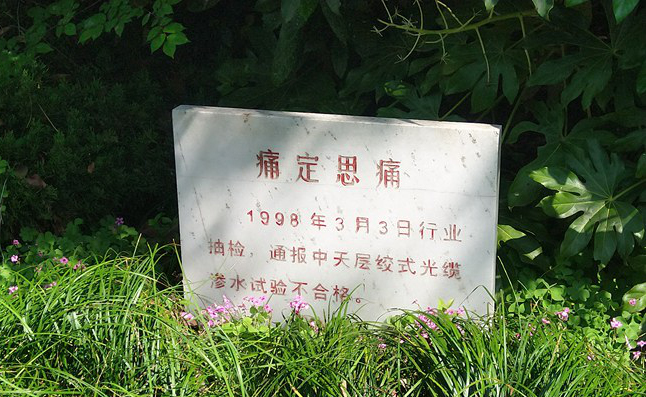 九五至尊VI-老品牌值得信任!